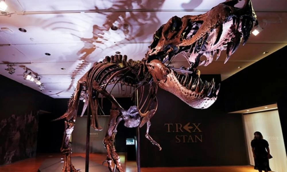 Στη δημοπρασία σκελετός τυραννόσαυρου 67 εκατομμυρίων ετών!